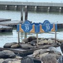 Y.hill 민박 | 미국) 전기차로 미서부 19일간의 로드트립 (왕복 8600km) 준비하기 (feat. Tesla Model Y dual motor)