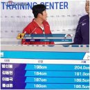 자체제작) 대한민국 리치(윙스펜)의 상대성 이미지