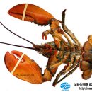보림수산