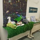 인천의 깃대종 이야기 이미지