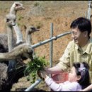 경주부화장 이미지