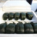 고금면-6 이미지