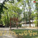 서초구 헌인릉 이미지