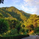 성불산자연휴양림 이미지