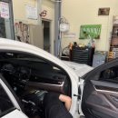 비비게러지 이미지