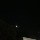 인생연어 이미지