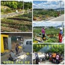 이명자농장 이미지