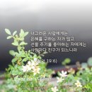 잠언19장 요절말씀카드 꽃사진에성구한절/하나님을 만나면 끝난 것이다 이미지