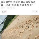 보배족발 이미지