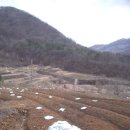 명안농장 이미지