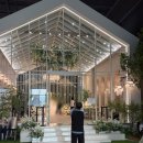 ㈜하나로정비서비스 | 대구 노비아갈라웨딩 동촌점 포레아홀 하객 후기( •̀ .̫ •́ )✧