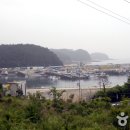 모항자연산횟집 이미지