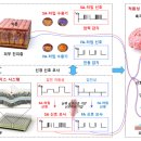 팀일렉트로닉스 이미지