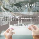 사랑결혼정보 이미지