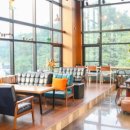 테라브런치 이미지