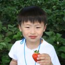 빛초롱어린이집 이미지