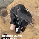 사계포구 | 제주 사계해안 간조 물때 시간 주차 방문 후기 근처 가볼 만한 곳