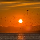 세븐일레븐 포항양덕타운점 | 포항 양덕 샤브올데이 샤브무한리필 내돈내산 후기