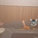 변산해수찜. 해수탕 네이버블로그