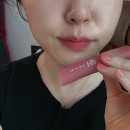 겉보속촉 쿨톤립 블러썸틴트 핑크뮬리 발색샷 후기