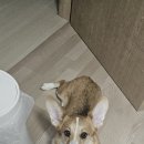 아지트, 멍 카페 이미지