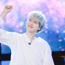 플레로마 이미지