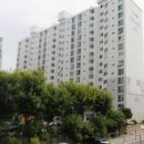 창희약국 Daum카페