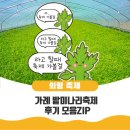 에듀웰팜 | [의령축제후기] 안가본 사람들은 후회한다는 의령 #가례밭미나리축제