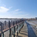 무안황토갯벌랜드 이미지