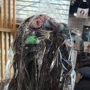 월계로45길 | 헤어스타일에 변화가 필요할 때? &#39;인생 머리&#39; 찾은 노원미용실 후기!