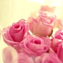 내가만약 이미지