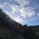 호명산캠프 | [취미/캠핑] 가평 호명산캠프 (캠핑장) &amp; 카페 사심당 후기