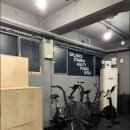 크로스핏 핏불 이미지