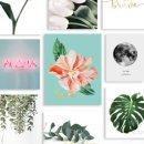 에덴셀프 이미지