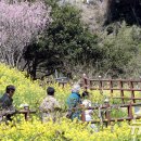 색달동-14 이미지