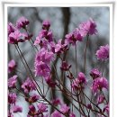 옥산리목장 이미지