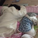 2024.09.3- 2024.10.19 기억하고 있다면 내 안에 살고있는거야