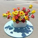 왜관 꽃집은 이곳! 다육그리고꽃에서 다육식물과 꽃의 완벽한 조화