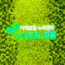 스마트팜 | 거제 로컬 누리센터 2F 스마트팜 카페 후기