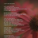 누군가 나보다 먼저 갔다면 ~ 이미지