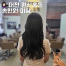 대전 원신흥동 미용실 도안동 헤어 &#39;송인원 미장&#39; 톤다운 염색 후기