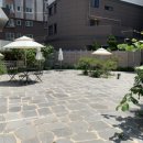 모치플레지르 이미지