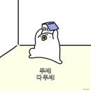 나정푸드