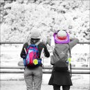 (주)대정농장 이미지