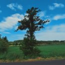 돌풍목장 이미지