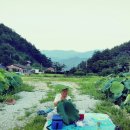 별똥별비 이미지