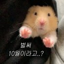 이마트24 문수아이파크점 | 시월의 서늘한 공기 속에도