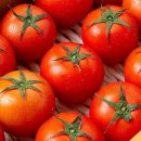 토마토 이미지
