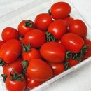 슬기농장 | 찬스농장 대추방울토마토 3kg 후기 신선한 방울토마토샐러드 레시피까지