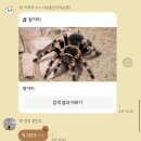 청계에서 일어난 일